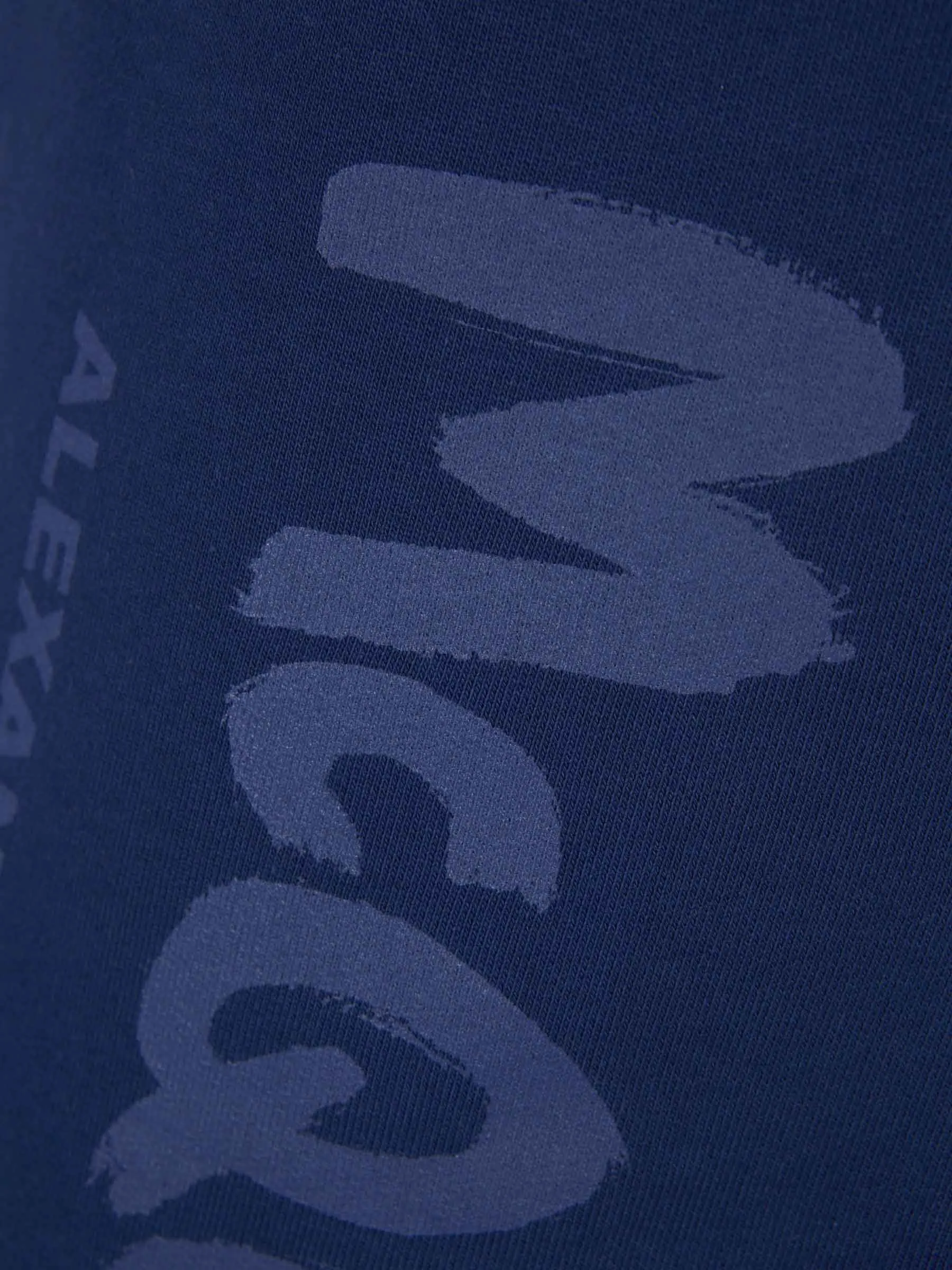 Alexander McQueen Bermudas Deportivas Graffiti