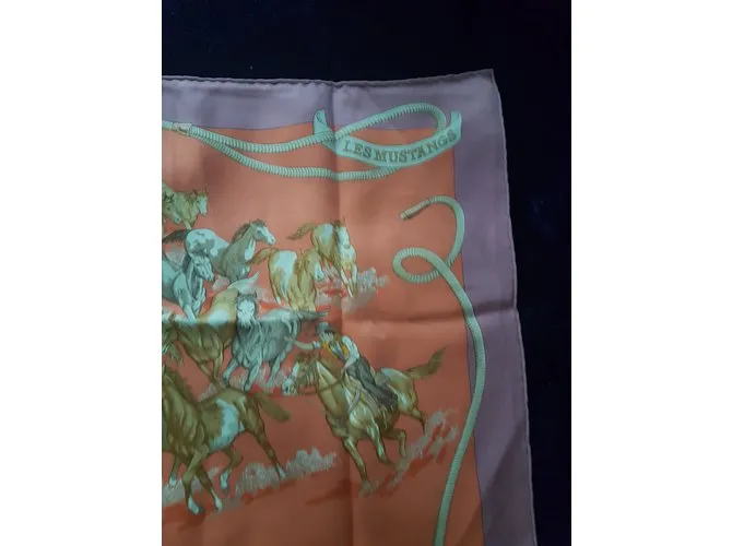 Hermès Bufanda de seda Multicolor 