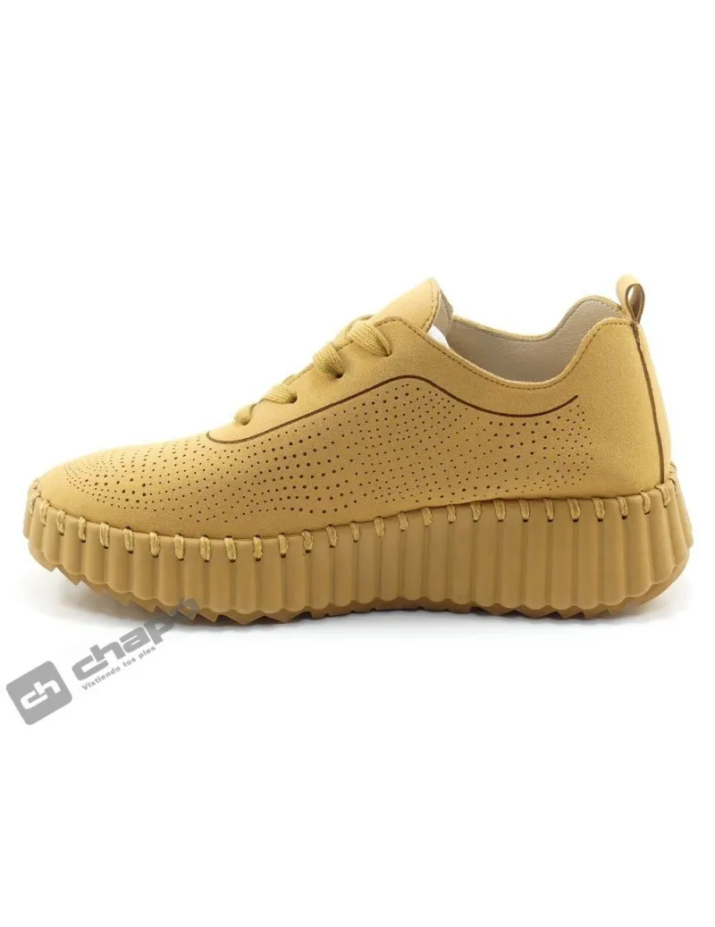 Zapatillas Deportiva Camel Wall & Fley Ah-9634 B4